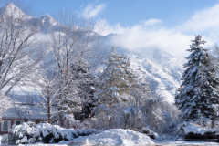 Snowy Salt Lake City Utah USA