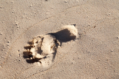 Footprint in sand