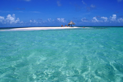 People relaxing having fun in crystal clear waters St Vincent and the Grenadines tiny islet of Mopion West Indies Caribbean