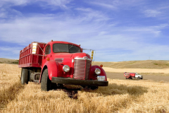 1940 s International KB-7 Harvester truck in a field in Montana USA