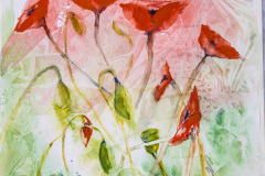 Poppies in watercolour 14 inches x 11 inches.   By Lorna Markillie