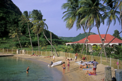 People on palm lined beach in Guadaloupe